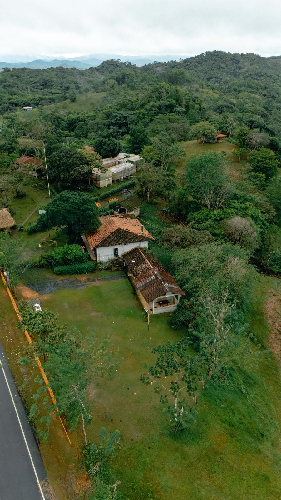 Aerial view of Hacienda Rogusta, the family-owned coffee farm in the Panamanian highlands